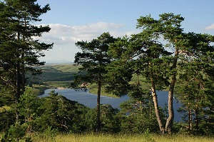 Vila Simović Zlatibor Pešačke staze, vidikovci, izletišta i kupališta Vila Simović Zlatibor Pešačke staze, vidikovci, izletišta i kupališta